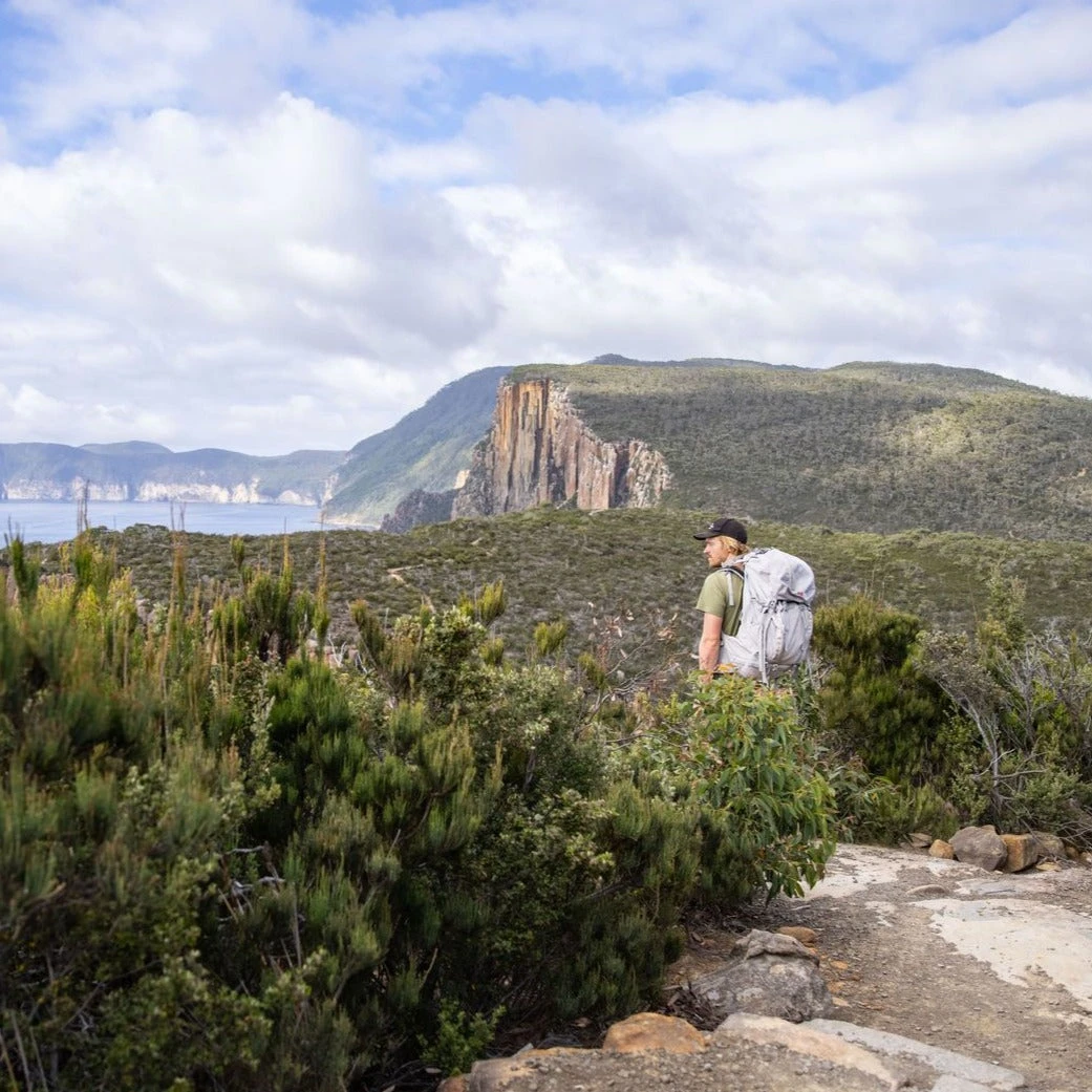 Maikoh 80 3 Maikoh 80 - Image 3